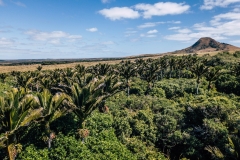 DJI_0078-scaled