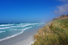 chatham-island-beach-scaled