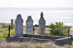 graves-scaled