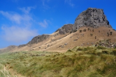 maunganui-scaled
