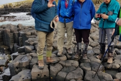 Basalt Columns, Ohira Bay