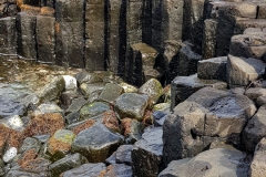Basalt Columns, Ohira Bay, Chatham Island