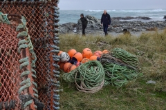Exploring Chatham-Island