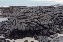Splatter Rock (also known as Taniwha Rock by Moriori)