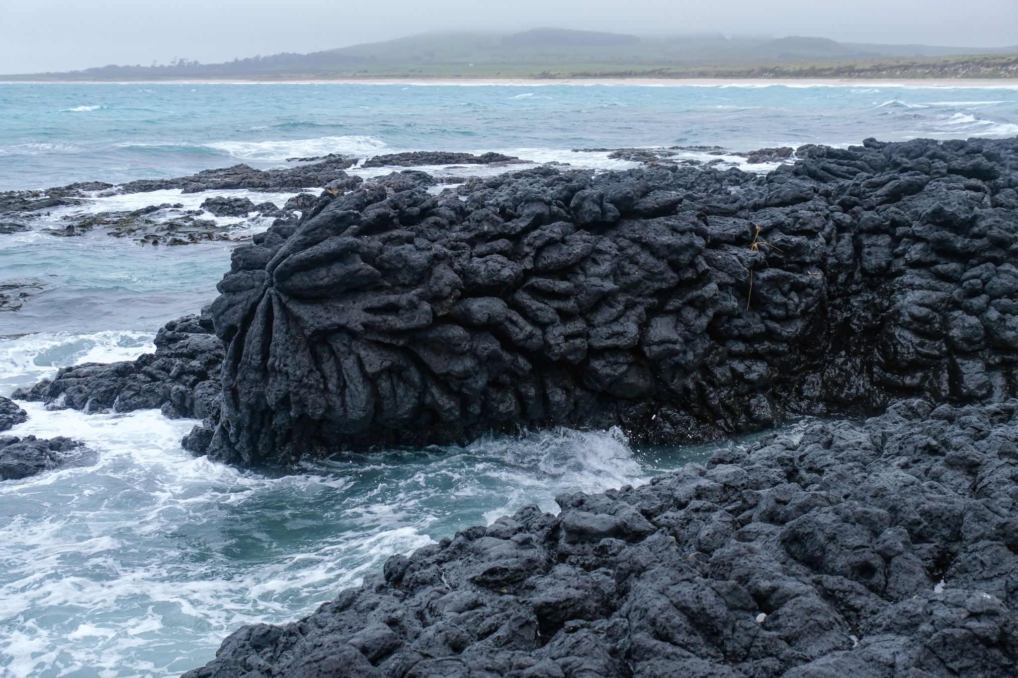 Splatter Taniwha Rocks The Chatham Islands – Like New Zealand Only different