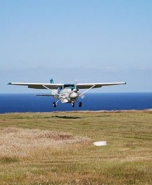 Pitt Island Day Tour