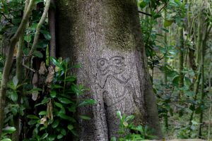 Rakau Momori Tree Carvings