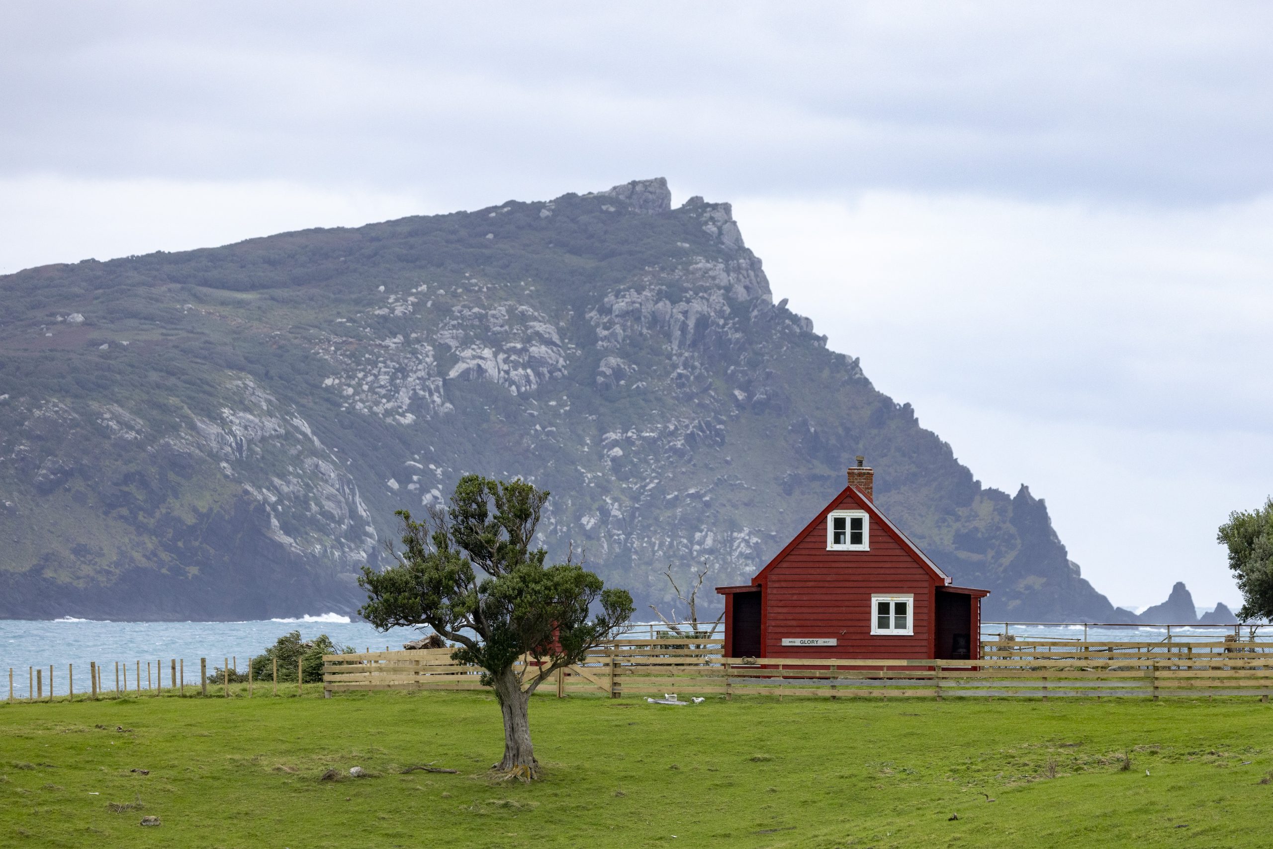 Pitt Island: A Jewel in the Chatham Islands Crown