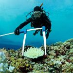 Chatham Islands Festival Of Science August 2025